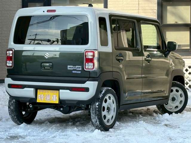 Suzuki Hustler 10