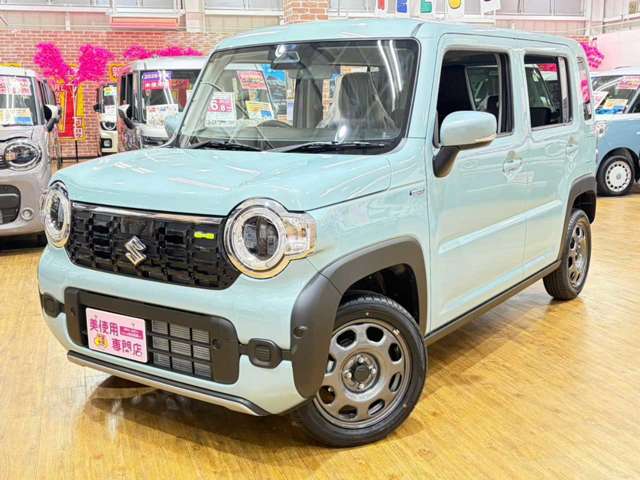 Suzuki Hustler 5