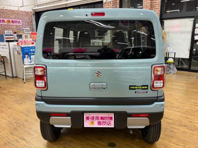 Suzuki Hustler 10