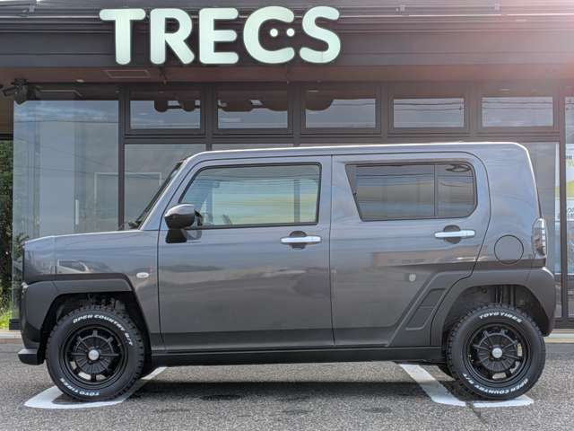 Daihatsu Taft 8