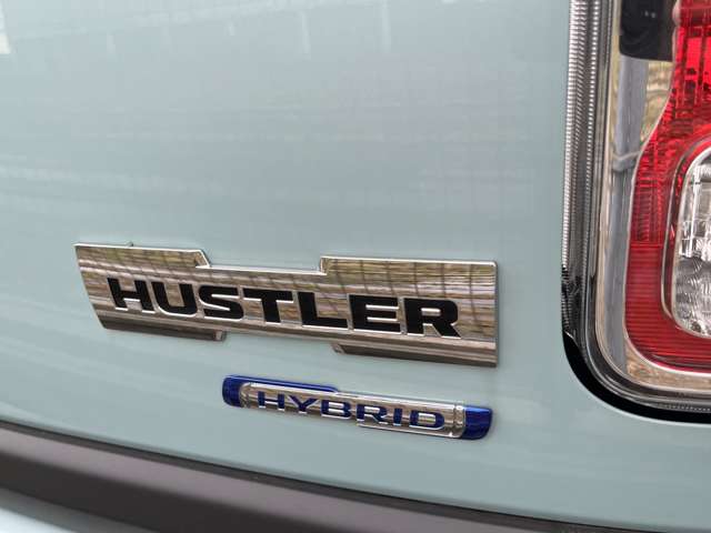 Suzuki Hustler 10