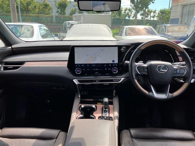 Lexus RX 11