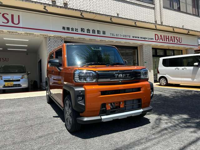 Daihatsu Taft 8