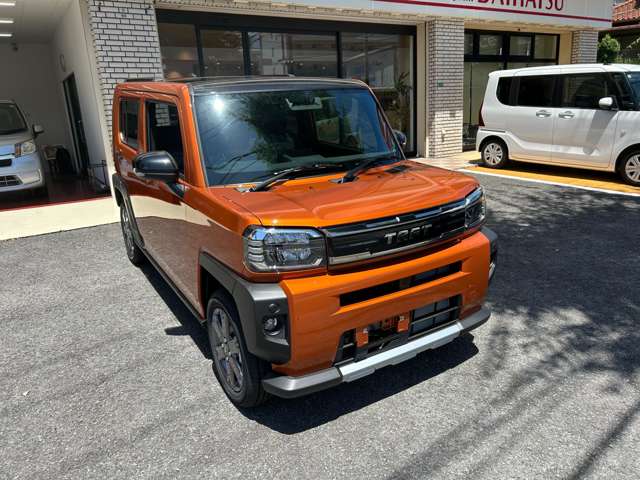 Daihatsu Taft 10