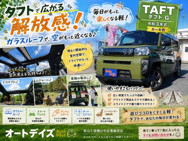 Daihatsu Taft 11