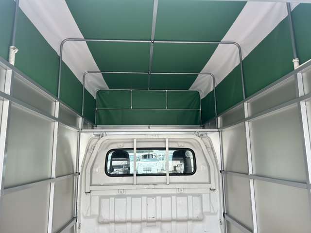 Suzuki Carry 11