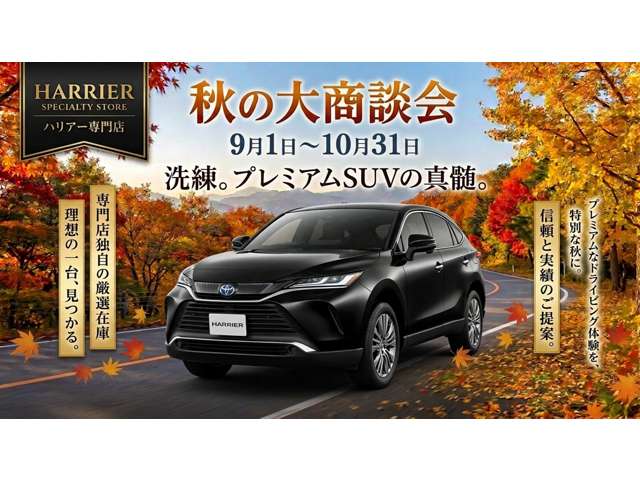 Toyota Harrier 2