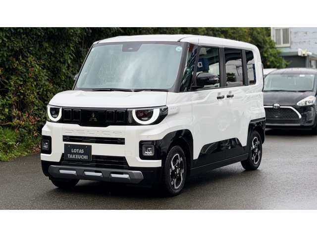 Mitsubishi Delica Mini 3
