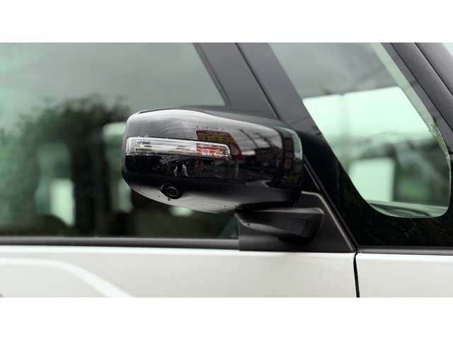 Mitsubishi Delica Mini 10