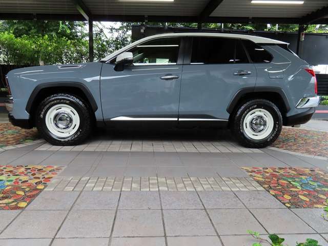 Mitsuoka バディ 4