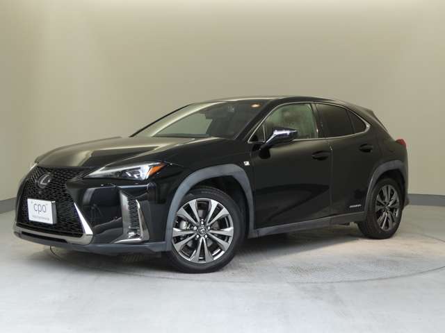 Lexus UX 12