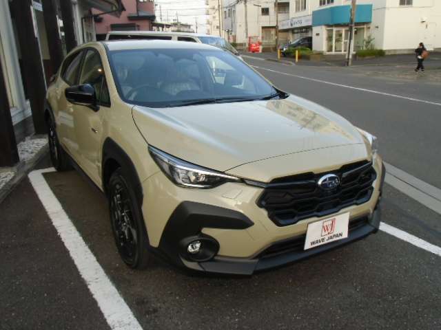 Subaru Crosstrek 9