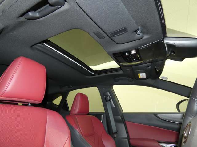 Lexus NX 5
