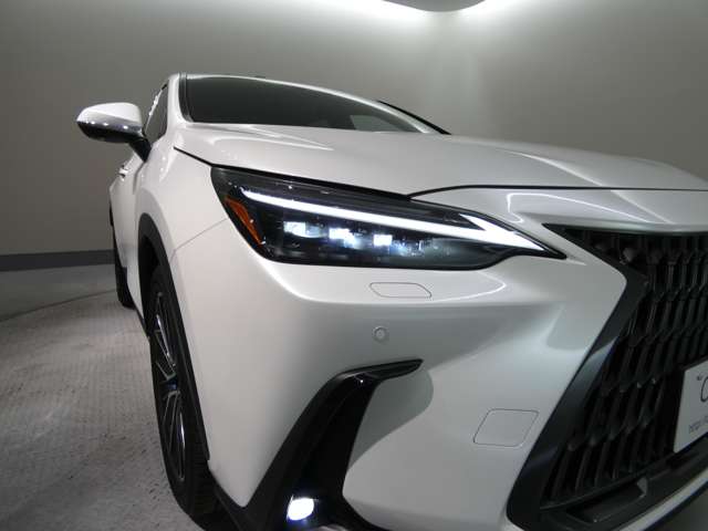 Lexus NX 7