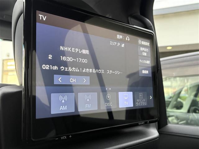 Toyota Land Cruiser 300 10