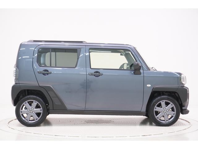Daihatsu Taft 6