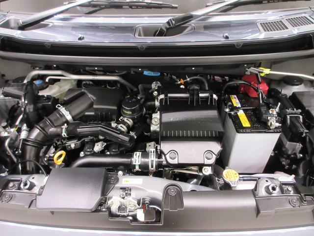 Daihatsu Taft 10