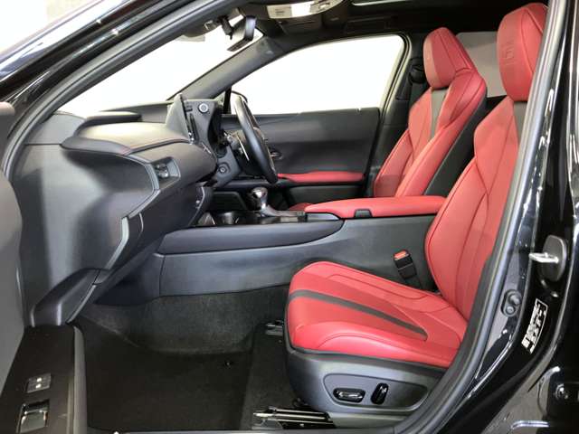 Lexus UX 11