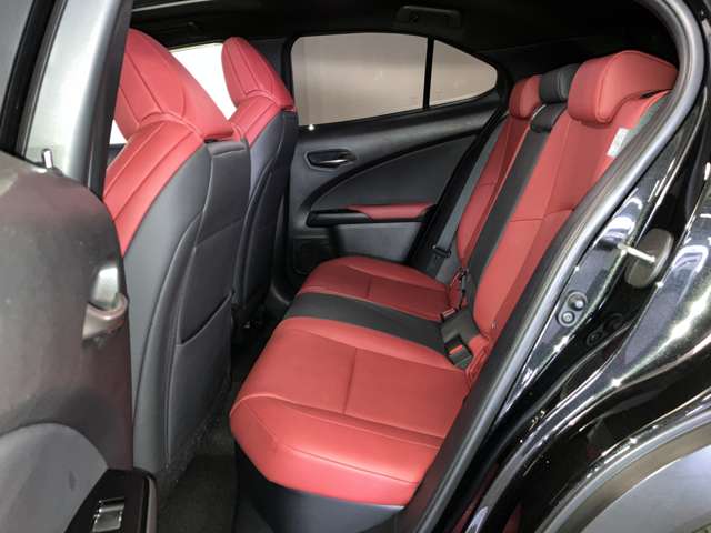 Lexus UX 12