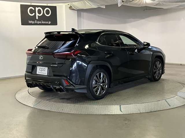 Lexus UX 8