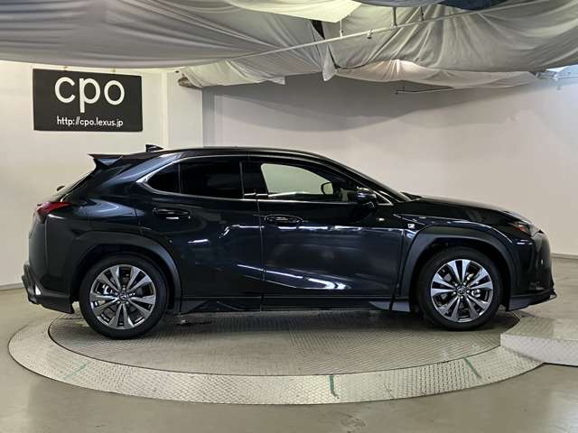 Lexus UX 9