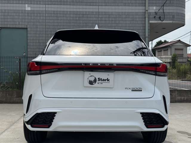 Lexus RX 11