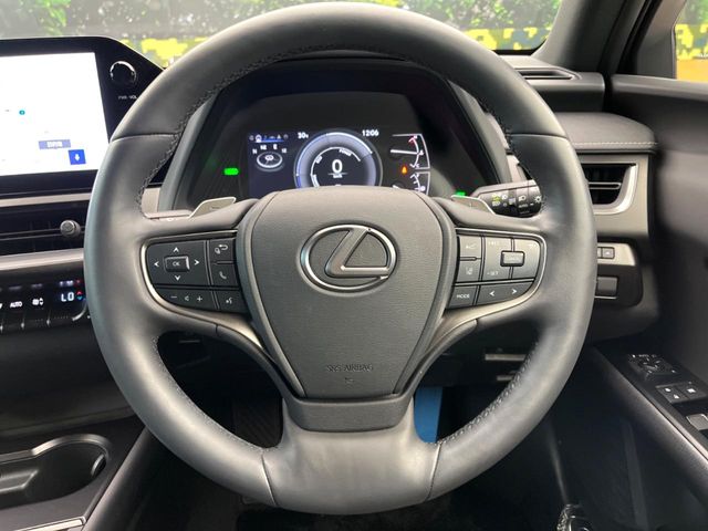 Lexus UX 11