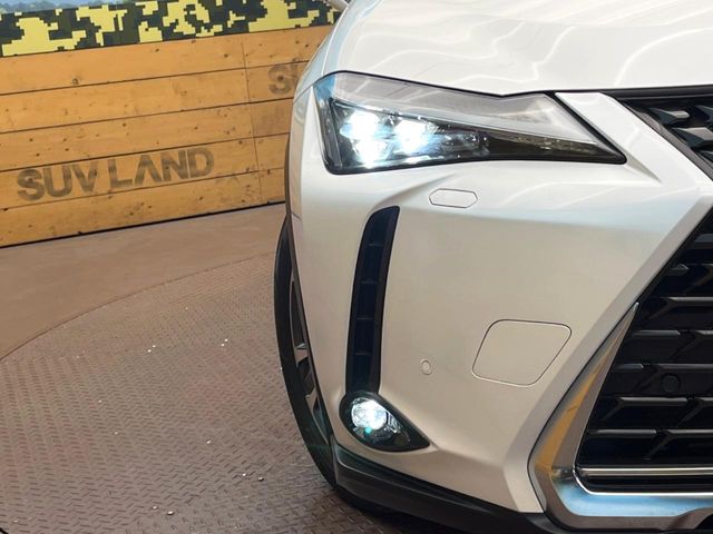 Lexus UX 12