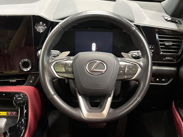 Lexus NX 11