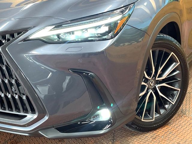 Lexus NX 12