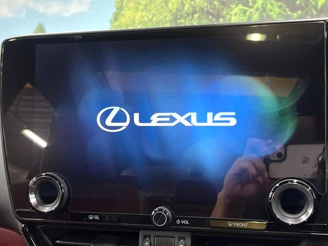 Lexus NX 4