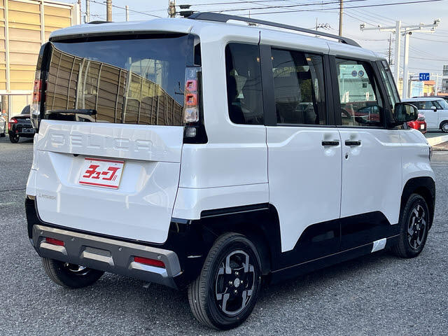 Mitsubishi Delica Mini 5