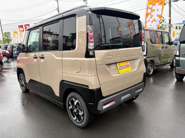 Mitsubishi Delica Mini 10