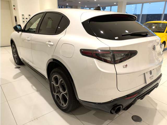 Alfa Romeo Stelvio 7