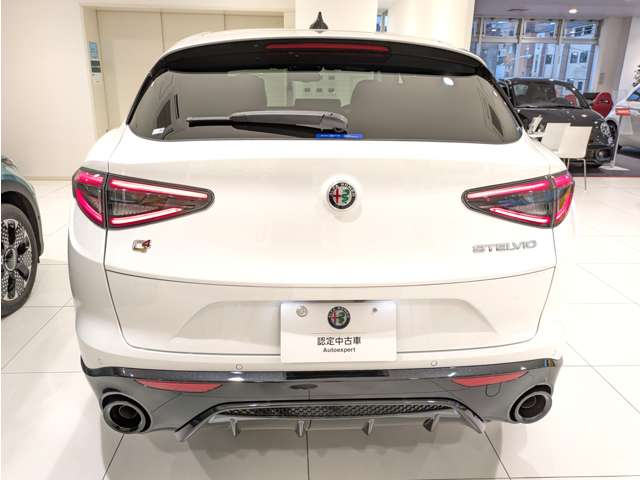 Alfa Romeo Stelvio 8