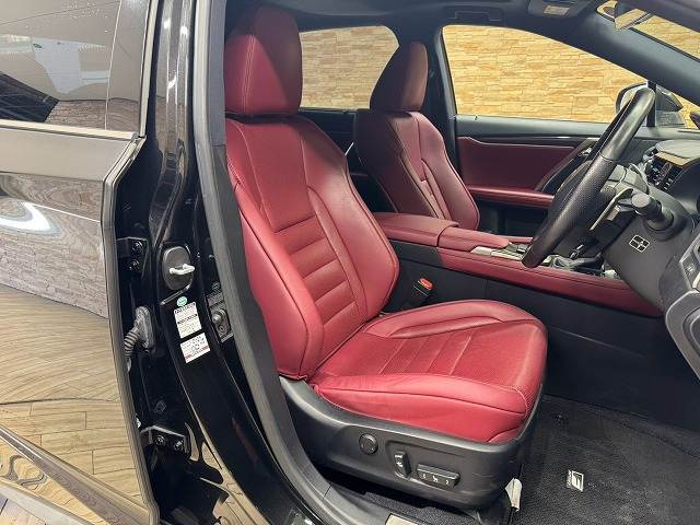 Lexus RX 11