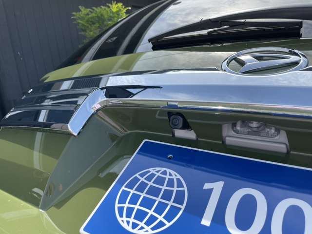 Daihatsu Taft 12