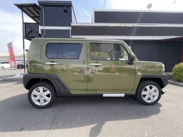 Daihatsu Taft 8