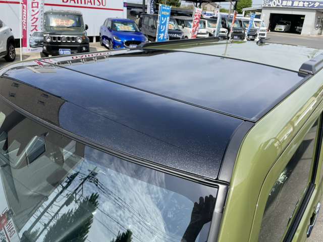 Daihatsu Taft 10
