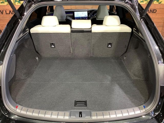 Lexus RX 11