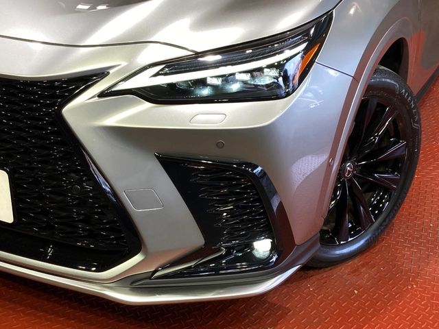 Lexus NX 12