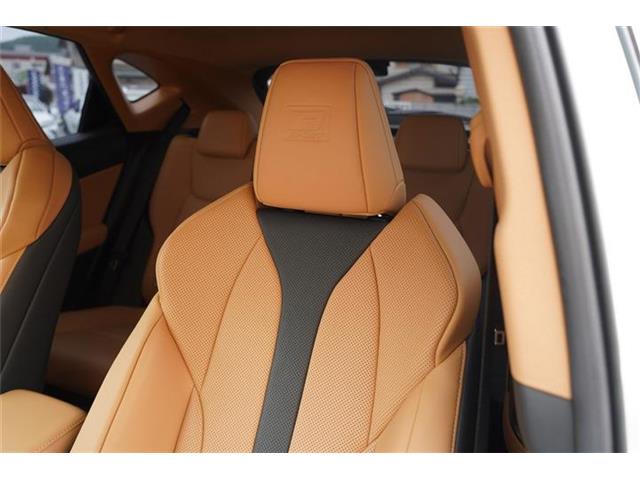 Lexus NX 12