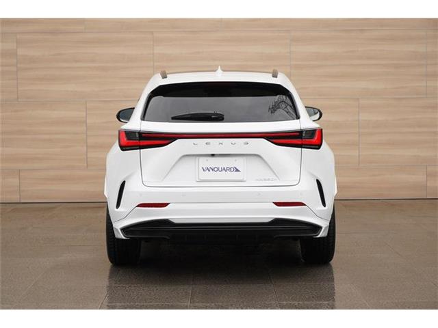 Lexus NX 10