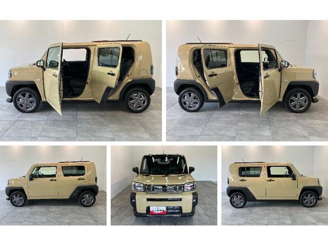 Daihatsu Taft 8