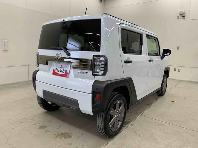 Daihatsu Taft 11