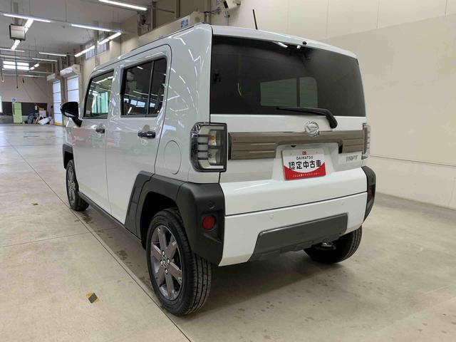 Daihatsu Taft 12