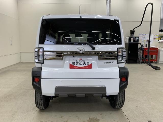 Daihatsu Taft 6