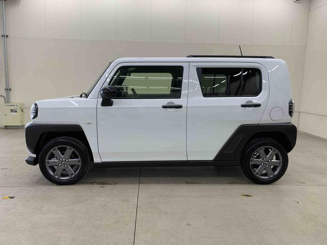 Daihatsu Taft 8