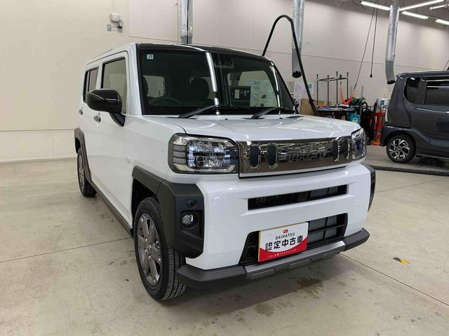 Daihatsu Taft 9