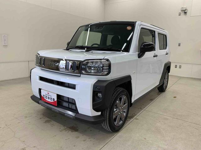 Daihatsu Taft 10
